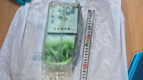 벌써 17번째 발견…제주에서 잇따라 차 봉지 위장 마약