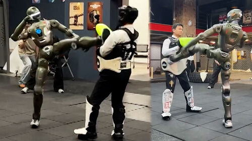 가드 올리고 발로 '뻥'…CEO도 날려버린 로봇