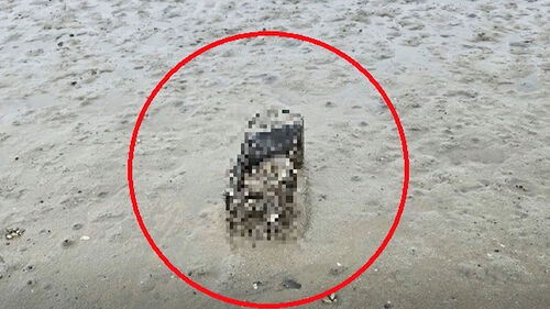 철창 갇힌 채 익사…"고의 아냐" 혐의 부인