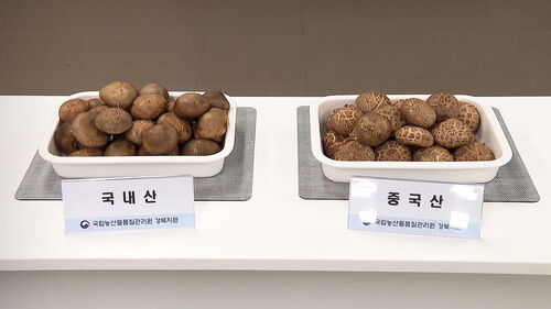 "믿고 사는데" 구멍 뚫린 농협…버젓이 국산