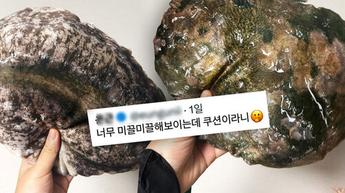 "사진에서 비린내 나요"…전복보다 더 전복 같은 쿠션
