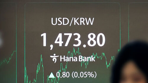 "비싸서 들었다 놨다"…꿈쩍 않는 환율에 물가 비상