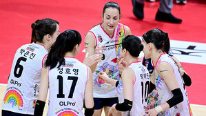 여자배구 정관장, 페퍼 꺾고 4연패 탈출&hellip;OK는 대한항공 제압