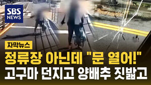 [자막뉴스] 정류장 아닌데 "문 열어!"...고구마 던지고 양배추 짓밟고