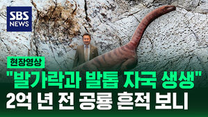 [현장영상] "최소 2만 개 이상 발견" 5㎞에 걸쳐 분포된 공룡 발자국