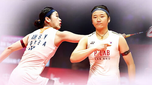 감탄 자아낸 안세영…"세상에 이런 플레이가"