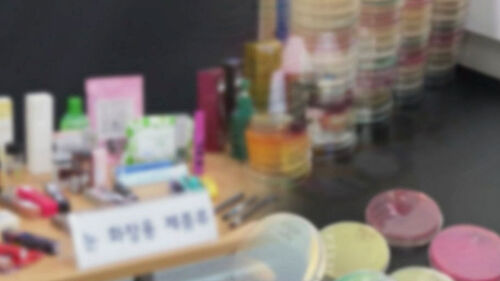 해외 직구 화장품서 발암물질 검출…기준치 50배
