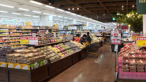 11월 생산자물가지수, 전월보다 0.3% 상승