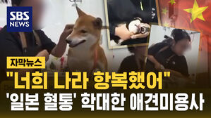 [자막뉴스] "너희 나라 항복했어"&hellip;'일본 혈통' 학대한 애견미용사