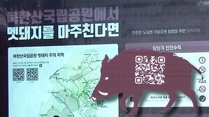 "여기가 멧돼지 위험 지역"&hellip;AI가 알려준다