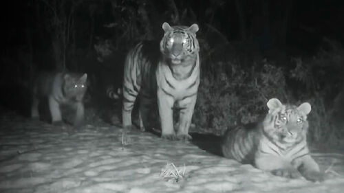 "한꺼번에 찍힌 건 최초"…100년 만에 생긴 놀라운 일