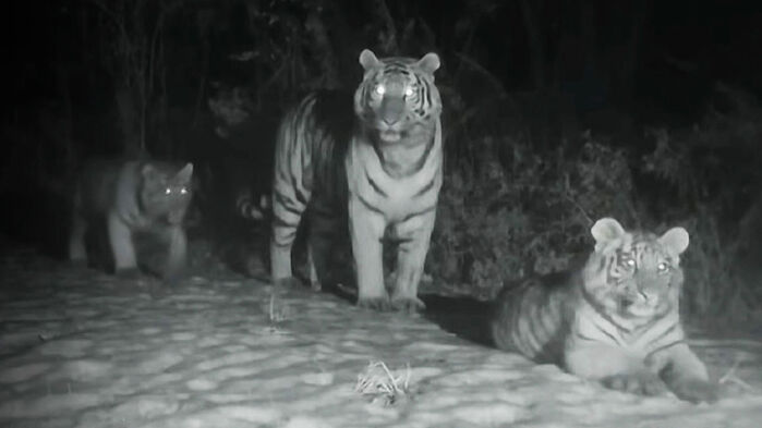 "한꺼번에 찍힌 건 최초"&hellip;100년 만에 생긴 놀라운 일