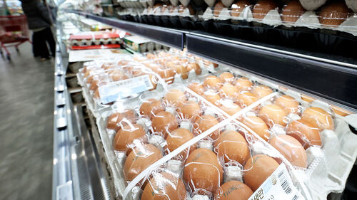 "한 판 7천 원" 더 오르나…심상찮은 고공행진