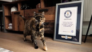 사람 나이로 136세&hellip;최고령에도 "여전히 장난기"