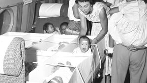 썸네일 이미지:아이를 수출하지 않는 나라의 조건