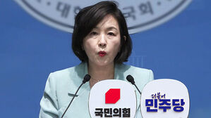 국힘 "출국금지 해야"&hellip;민주 "시스템 아닌 사람 문제"