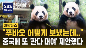 [자막뉴스] "푸바오 어떻게 보냈는데"&hellip;중국에 또 '판다 대여' 제안한 속사정