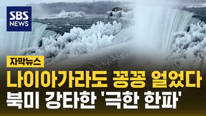 [자막뉴스] 나이아가라도 꽁꽁 얼었다&hellip;북미 강타한 '극한 한파'