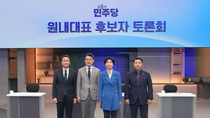 민주당, 오늘 원내대표&middot;최고위원 3명 선출