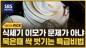 에디터픽 식세기