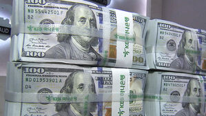 유럽 증시에 글로벌 자금 '밀물'&hellip;"급등한 미 기술주 대안"