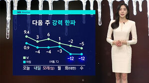 [날씨] 서울 올 첫 초미세먼지주의보&hellip;17일 대기질 회복