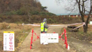 강원도 강릉서 '아프리카돼지열병' 발생