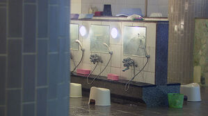 "못 버텨" 줄줄이 폐업하는데&hellip;외국서는 인기폭발?