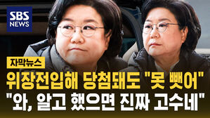 이혜훈 위장전입