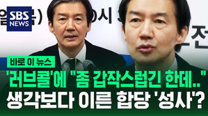 조국당 바로이뉴스