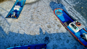 바닷물 얼어붙으며 발 묶인 고깃배&hellip;"감태 수확도 못해"