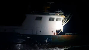 껌껌한 어둠서 덮치자 와르르&hellip;"무려 1톤" 몰래 잡아들였다