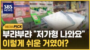 0127 에디터픽 생리대