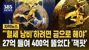 [자막뉴스] "27억 '혈세 낭비' 비판했는데"&hellip;금테크 큰 그림? 376억 뚫었다