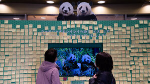 "잘 가, 샤오샤오&middot;레이레이"&hellip;일본, 54년 만에 '판다 제로' 시대