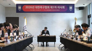 2부 최하위 vs 3부 우승팀 단판 승강전&hellip;축구협회, 승강제 정비