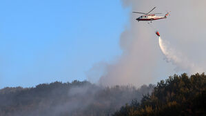 산림청, 산불재난 국가위기경보 '경계' 단계 발령