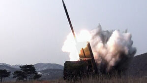 "대구경 방사포 무기체계 시험사격"&hellip;김정은 참관