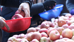 정부, 설 성수품 '역대 최대' 27만 톤 푼다&hellip;할인 지원 910억 원 투입