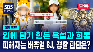 [단독] 입에 담기 힘든 욕설과 희롱&hellip;피해자는 '버츄얼 BJ', 경찰 판단은? (D리포트)