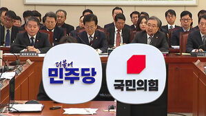 "비준 대상 아냐, 법안 통과 협조하라"&hellip;"정부여당 책임"