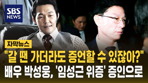 [자막뉴스] "갈 땐 가더라도&hellip;" 배우 박성웅, '임성근 위증' 증인 채택