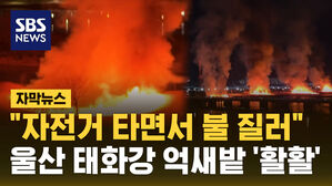 [자막뉴스] "자전거 타면서 불 질러"&hellip;울산 태화강 억새밭 '활활'