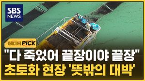 에디터픽 김성화_김 양식