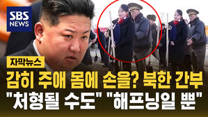 [자막뉴스] "같이 삽질" 김정은 딸 만진 북한 간부&hellip;"처형 가능성" "단순 해프닝"