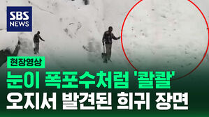[현장영상] "매우 위험할 수도" 인도 오지서 발견된 '눈의 강' 희귀 장면
