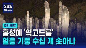 [D리포트] 어린아이 키 만큼 솟아오른 '역고드름'