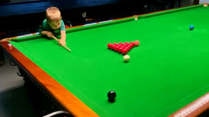 당구채보다 작은데&hellip;2살배기 당구 신동 세계 기록 썼다