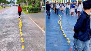 지역 명물 됐다&hellip;"동화 속 한 장면" 소년 따르는 오리 떼