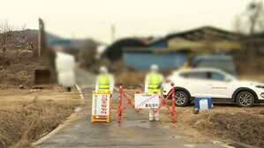 고병원성 조류인플루엔자서 구제역까지&hellip;가축전염병 비상